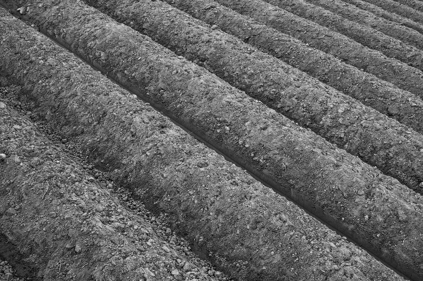 20DU1181 (7 von 117)